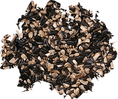 Wild Delight Special Finch