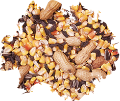 Wild Delight Crunch N' Nut Squirrel Food 8lb