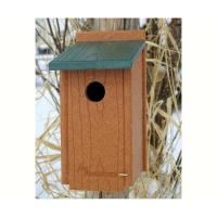Bluebird House Going Green