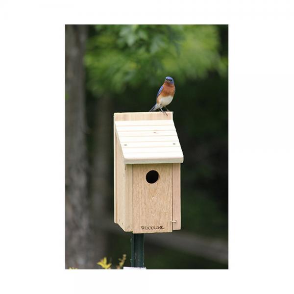 Woodlink Bluebird House