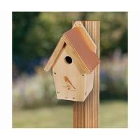 Coppertop Bluebird House