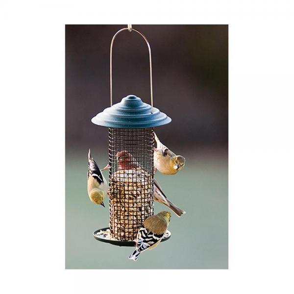 Bird Feeder Sm. Magnum Seed 1pt