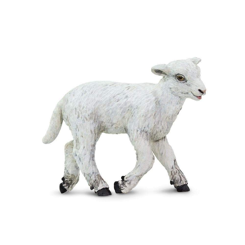 Safari Lamb