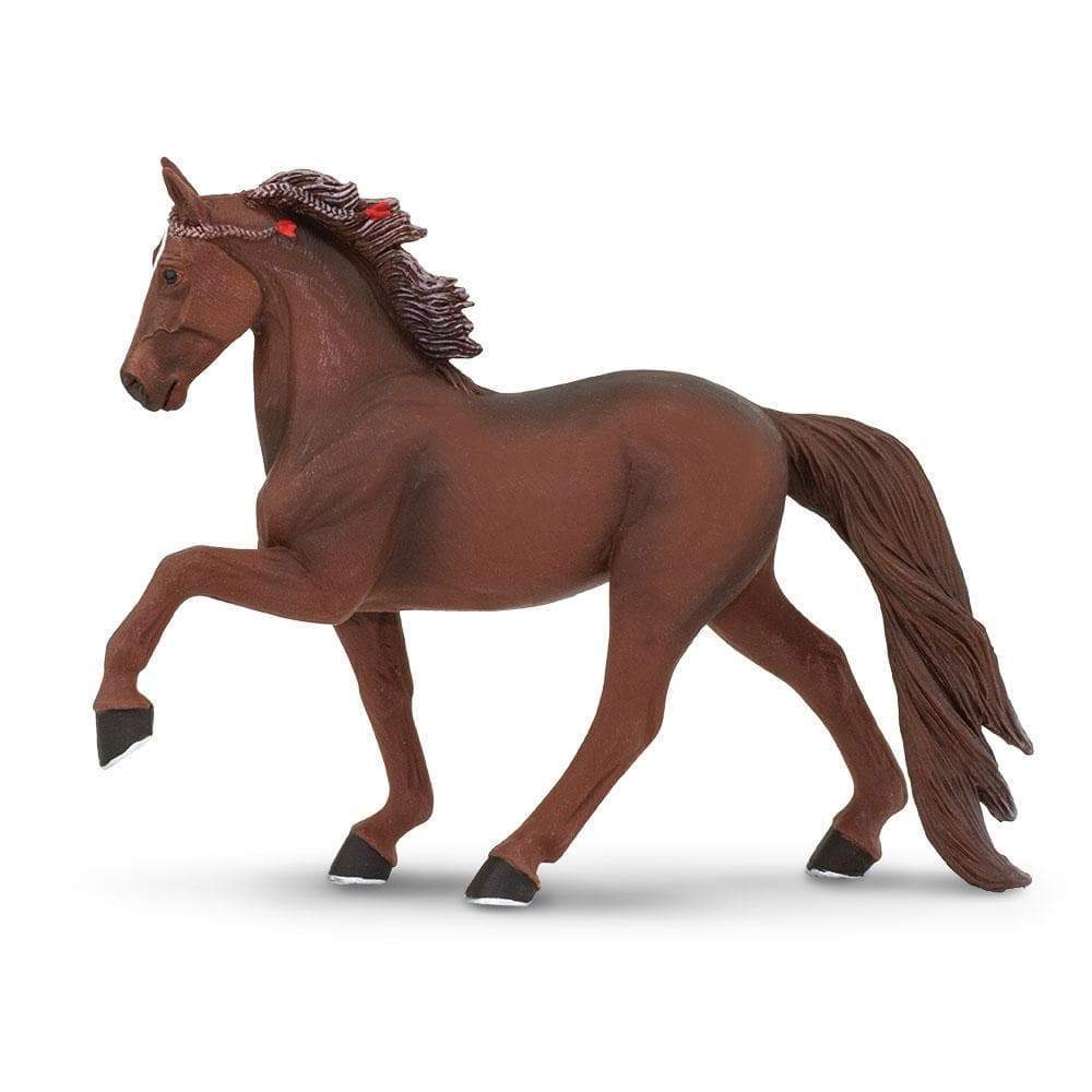 Tennessee Walking Horse