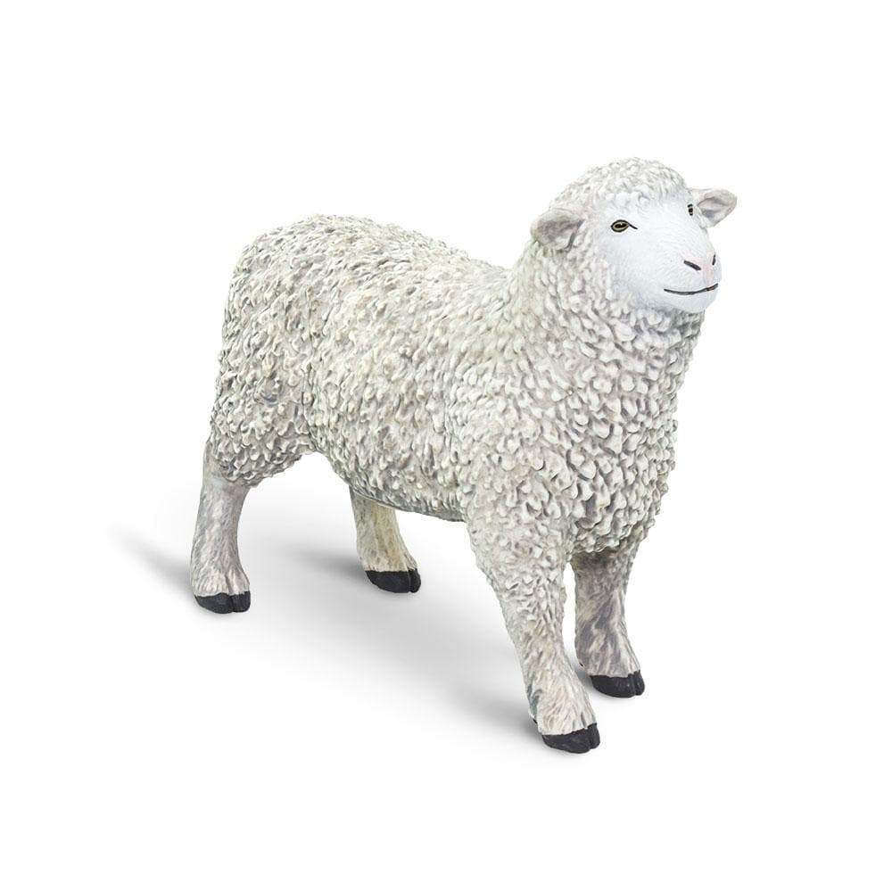 Safari Sheep