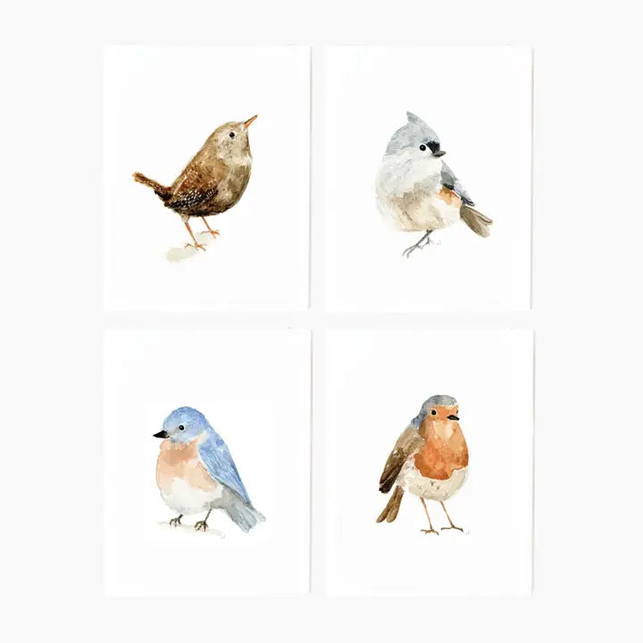 Notecard Set Assorted Birds