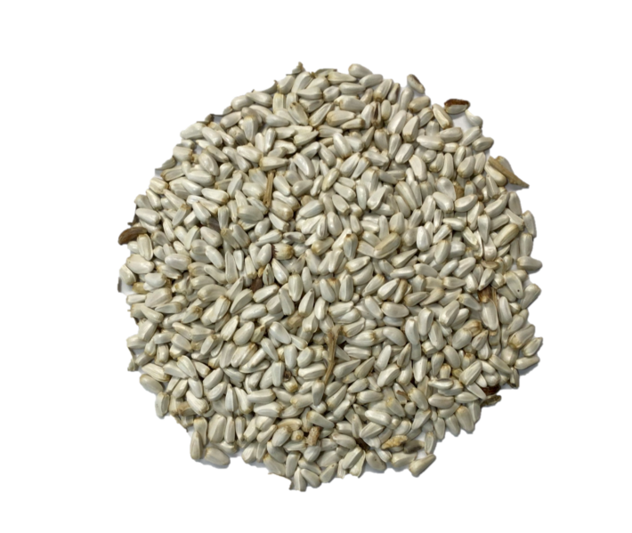 Safflower Seed