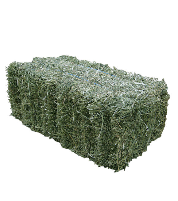 Hay Bales Timothy Orchardgrass Blend