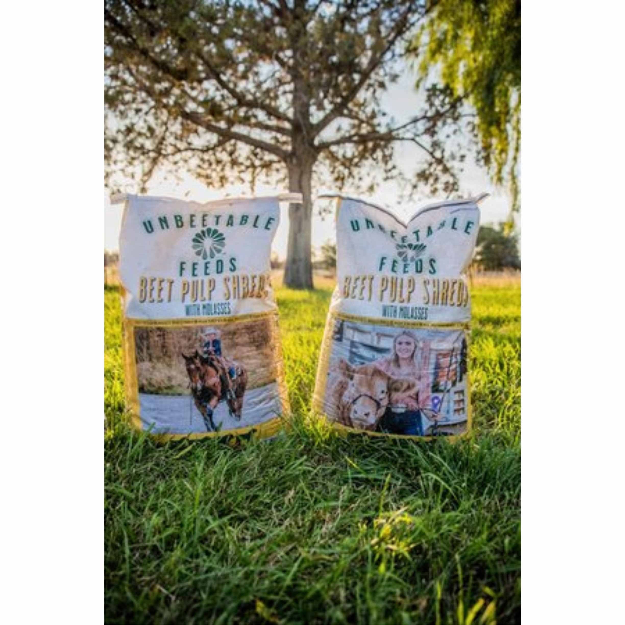 faithway alliance garden seed Beet Pulp Plain 30lb