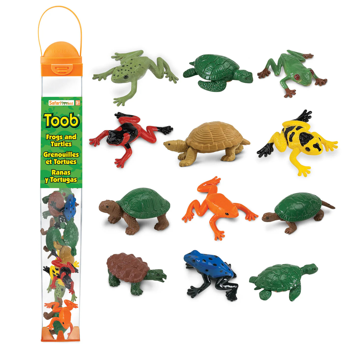 Frogs and Insects TOOB