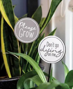 Plant Stake Please Grow Asst