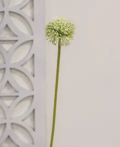 Spray, White Allium Ball 19"
