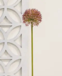 Spray, Mauve Allium Ball 19"