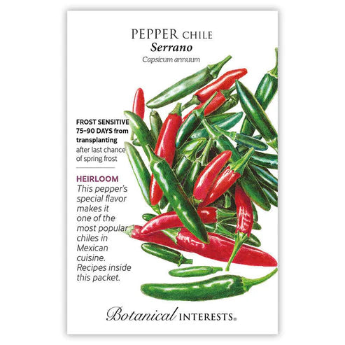 Seed BI Pepper Chile Serrano
