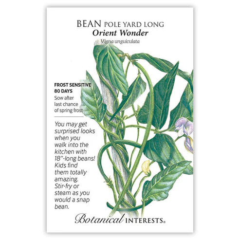Seed BI Bean Pole Yard Long Orient Wonder
