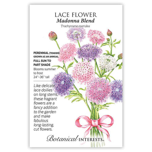 Seed BI Lace Flower