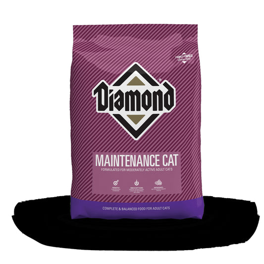 Diamond Cat Maintenance 40lb