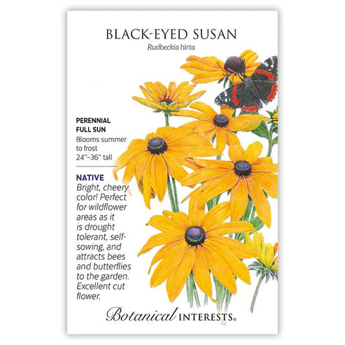 Seed BI Black-Eyed Susan
