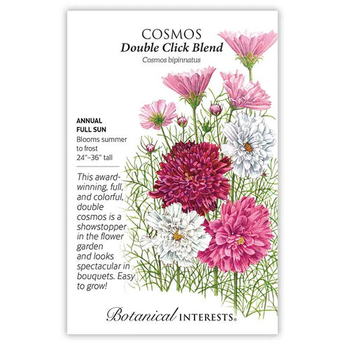 Seed BI Cosmos Double Click Blend