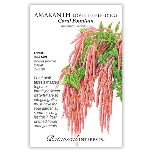 Seed BI Amaranth Coral Fountain