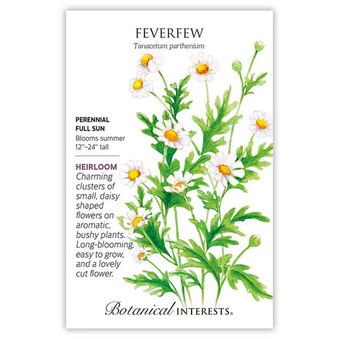 Seed BI Feverfew