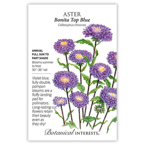 Seed BI Aster Bonita Top Blue