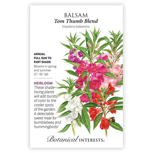 Seed BI Tom Thumb Balsam