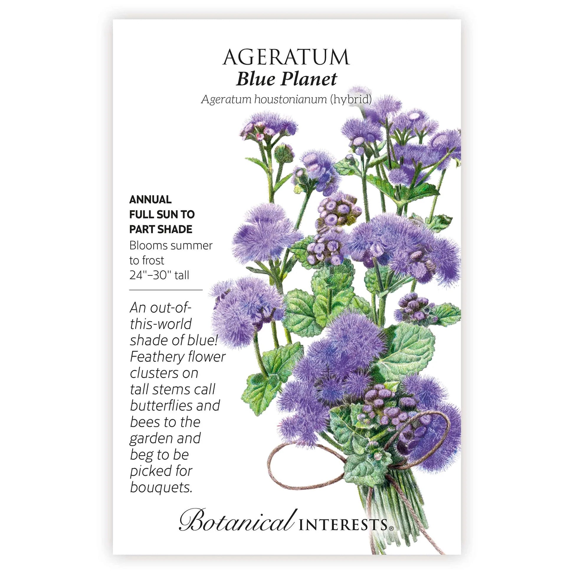 Seed BI Ageratum Blue Planet hybrid