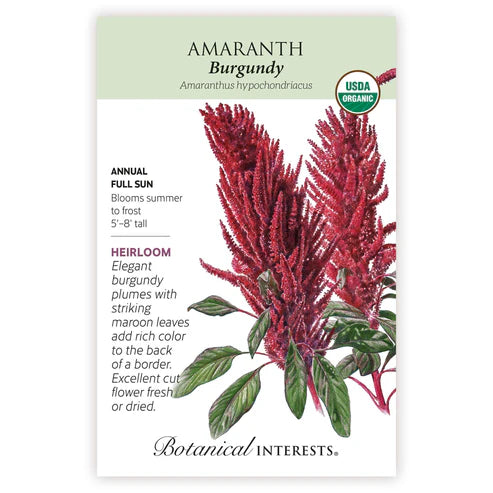 Seed BI Amaranth Burgundy Org