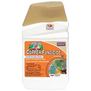 Bonide Liquid Copper Fungicide Concentrate 16oz