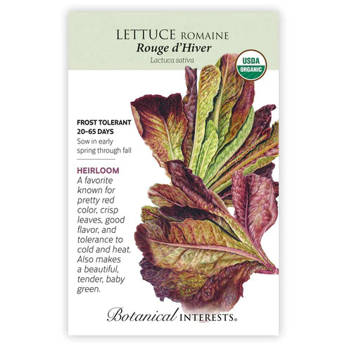 Seed BI Lettuce Romaine Rouge d'Hiver Org