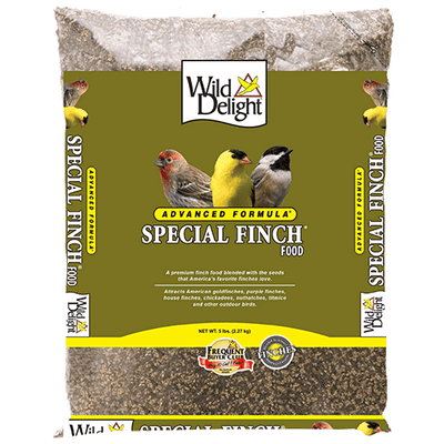 Wild Delight Special Finch