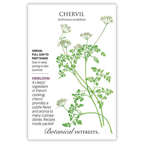 Seed BI Chervil