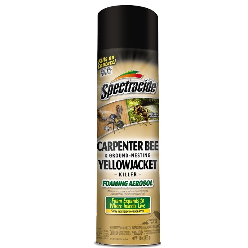 Spectracide Carpenter Bee Foam 16oz