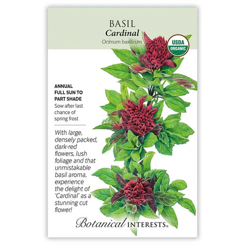 Seed BI Basil Cardinal