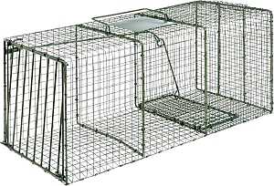 Cage Trap 1114 36x15x14 Green 1-Door