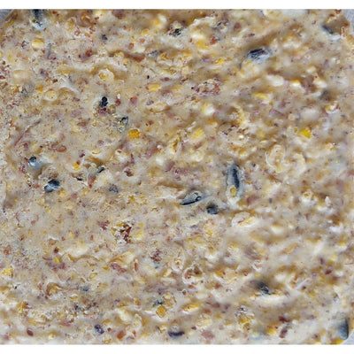Heath Pecan Surprise Suet Cake 11.75oz