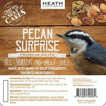 Heath Pecan Surprise Suet Cake 11.75oz