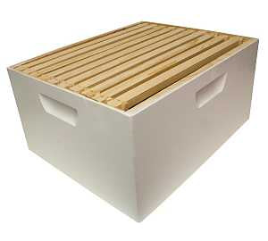 Hive Body 10 Frame Assembled with Frames