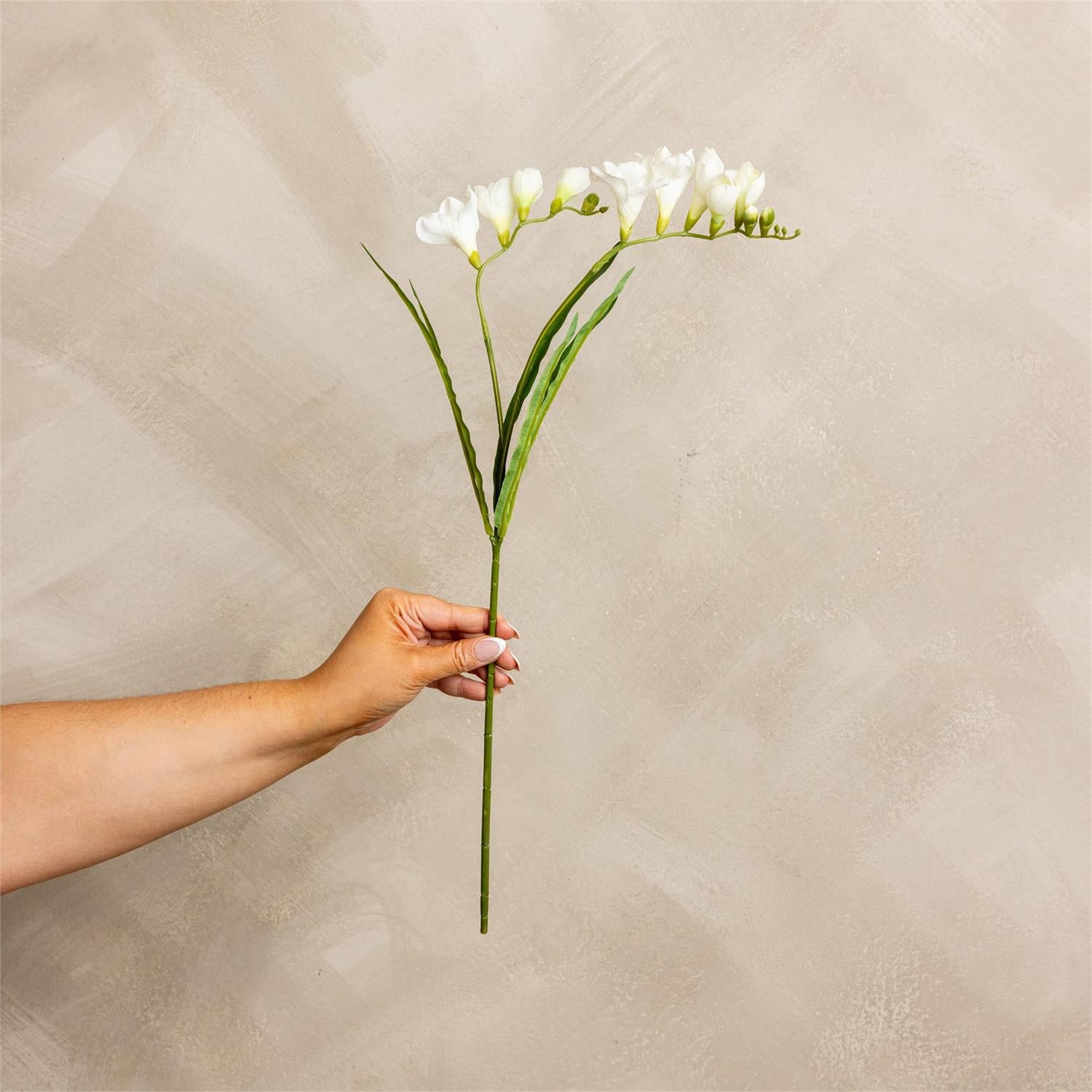 Spray - Freesia White