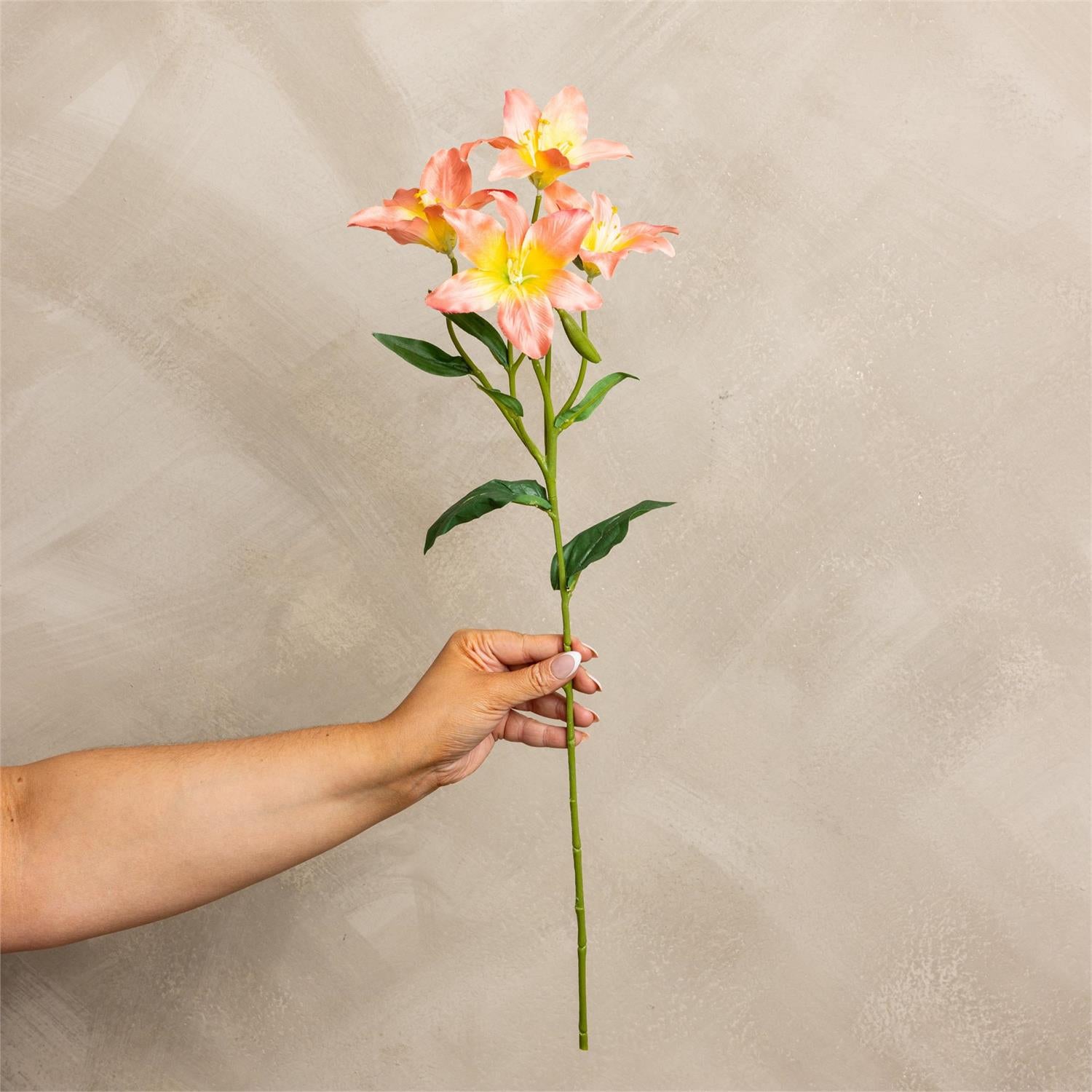 Spray - Lily Salmon