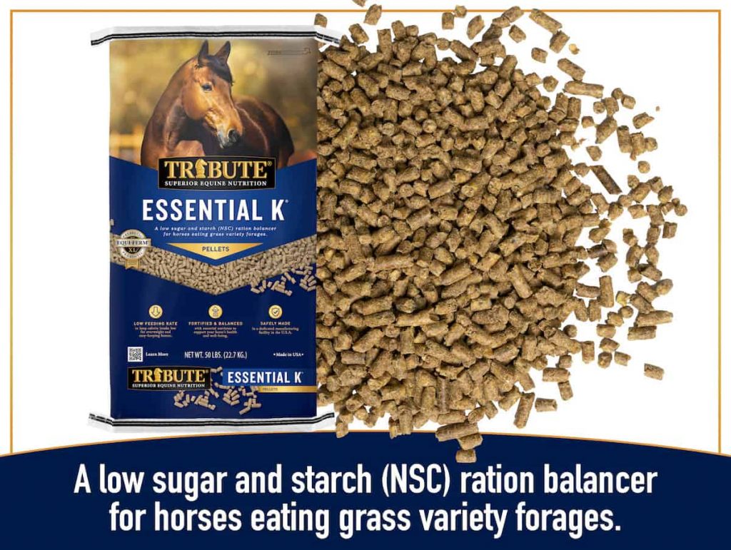 Tribute Essential K Horse 50lb