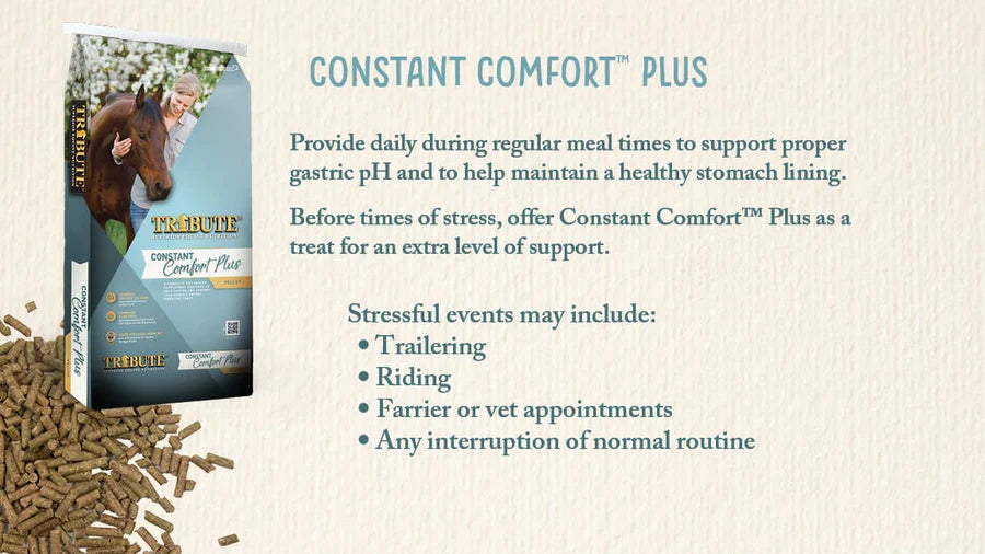 Tribute Constant Comfort Pellets 40lb