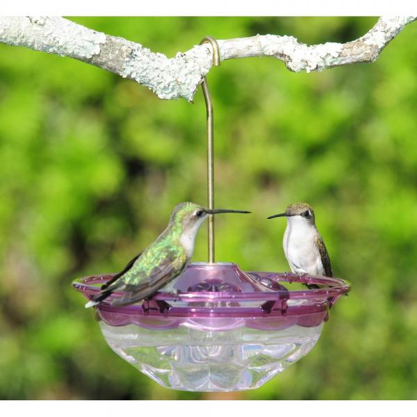 Aspects HummBlossom 4oz Hummingbird Feeder