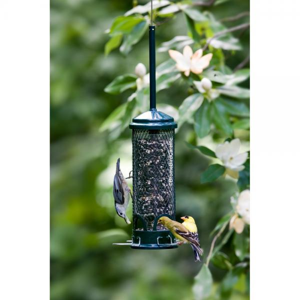 Squirrel Buster Mini Feeder