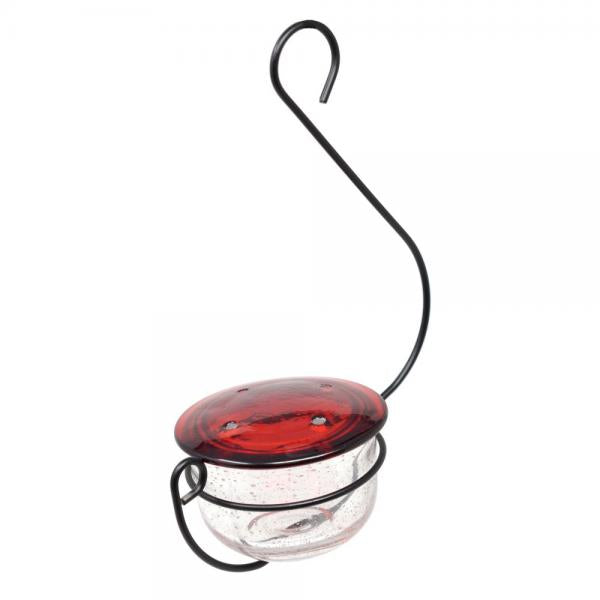 Clear Glass Hanging Hummingbird Feeder
