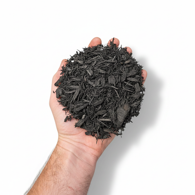 Hand holding a handful of black mulch against a white background