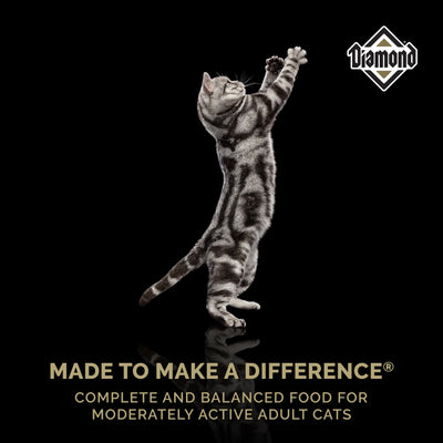 Diamond Cat Maintenance 20lb