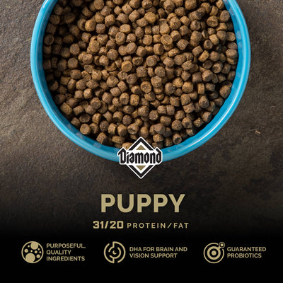 Diamond Puppy 40lb