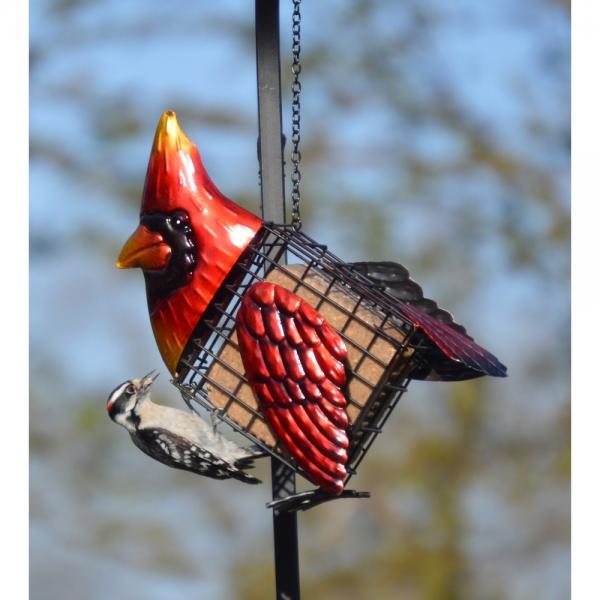 Cardinal Suet Feeder